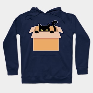 Cat in a box Hoodie